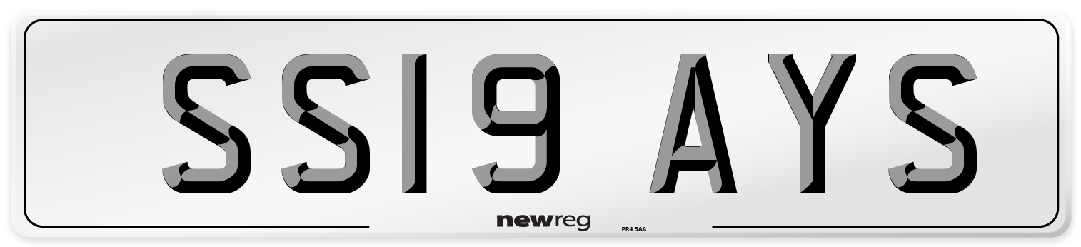 SS19 AYS Number Plate from New Reg